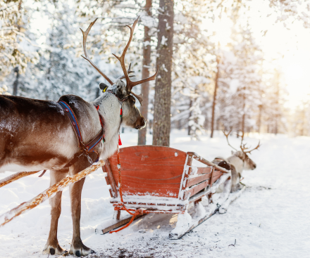 2-Night Breaks