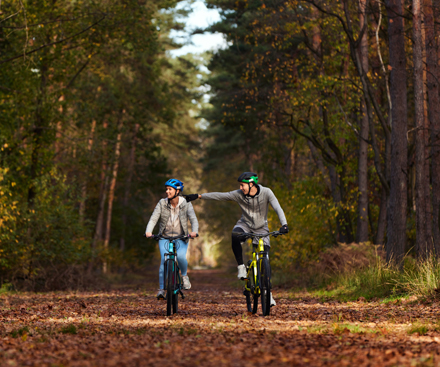 FREE Wheel - Bicycle Hire