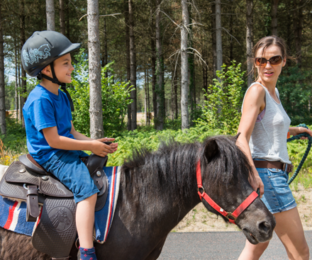 Pony Rides